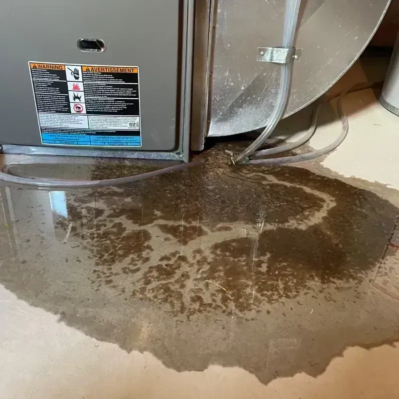 Appliance Leak Cleanup in Preston, MN